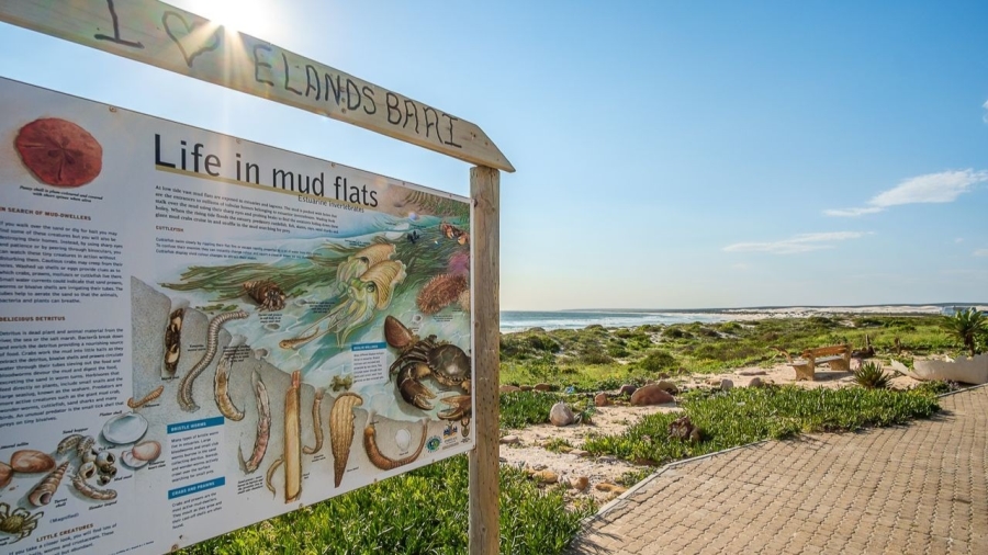 2 Bedroom Property for Sale in Elands Bay Western Cape